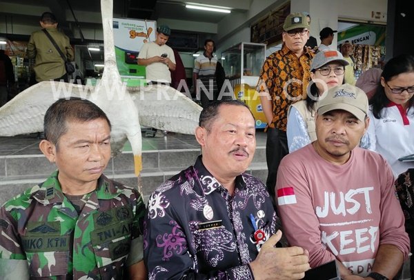 Pasokan Pangan di Bontang Jelang Nataru Aman, Stok Tomat Sempat Kosong Dua Hari