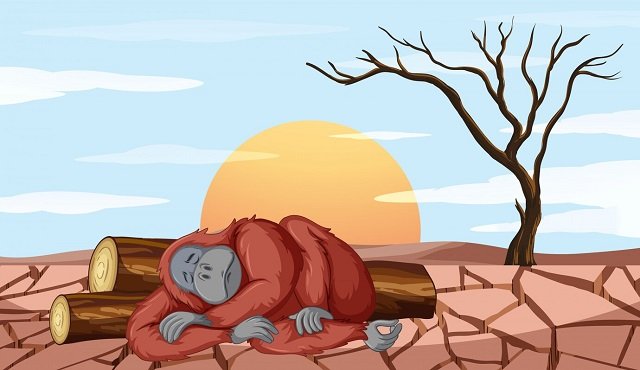 BMKG Prediksi Puncak Musim Kemarau di Kaltim Terjadi Bulan Ini, Suhu Udara Bisa Capai 35 Derajat Celsius