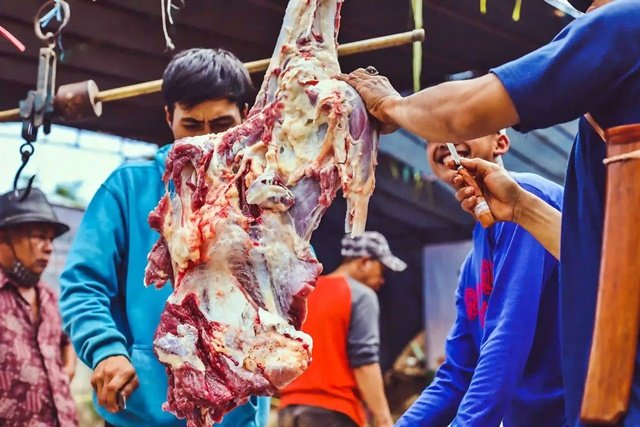 Cacing Hati Ditemukan pada Hewan Kurban di Balikpapan, Warga Diminta Tak Panik
