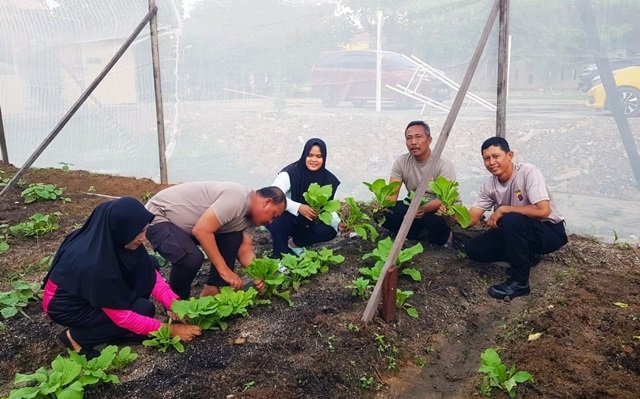 Hidupkan Lahan Tidur, Polsek Bontang Utara Wujudkan Ketahanan Pangan di Tengah Kota