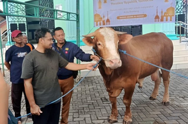 Kurban Melonjak di Masjid Agung Al-Hijrah Bontang, Kini Disembelih di Area Masjid
