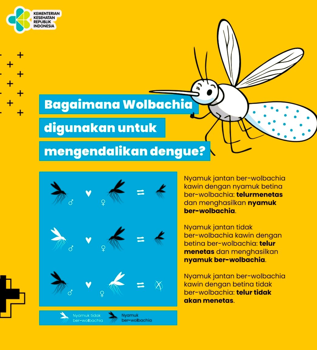 Penyebaran Ember Wolbachia untuk Dua Kecamatan di Bontang Ditarget Bulan Ini