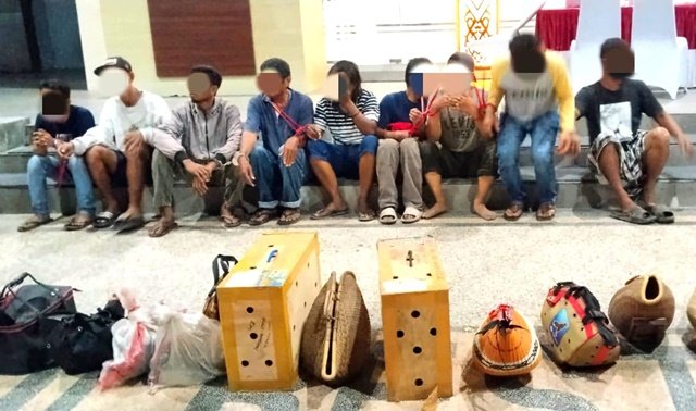 Polisi Gerebek Arena Sabung Ayam di Balikpapan, Belasan Terduga Pelaku Diamankan