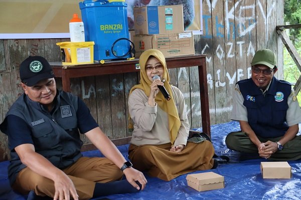 Jelang Idulfitri, Puluhan Sapi di Kaltim Terinfeksi Penyakit LSD