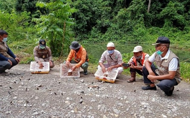 Ratusan Burung Dilepasliarkan ke Hutan Kaltim