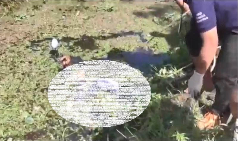 Pemuda di Samarinda Tergeletak Tewas bersama Sepeda Motor, Diduga Alami Kecelakaan Tunggal