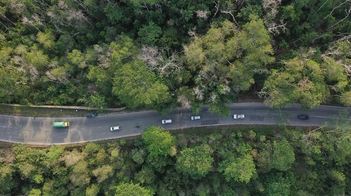 Tutupan Hutan Kaltim 63 Persen, Jauh Lebih Tinggi dari Standar Nasional