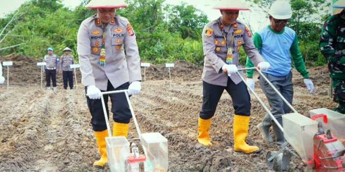 Tanam Jagung di Lahan Bekas Tambang, Kapolres Bontang Dorong Swasembada Pangan