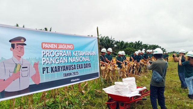 Jagung Tumbuh di Lereng Bukit, Polres Kutim dan Astra Agro Panen 1,65 Ton