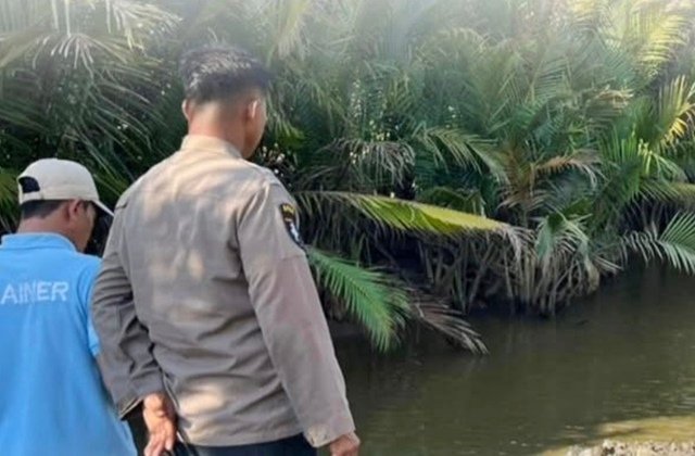 Detik-Detik Ayah dan Anak di Sungai Taberu Paser Berjibaku Lepas dari Terkaman Buaya