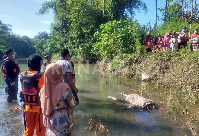 Dua Hari Hilang, Kakek 82 Tahun Ditemukan Tewas di Sungai Paccinongan Pangkep