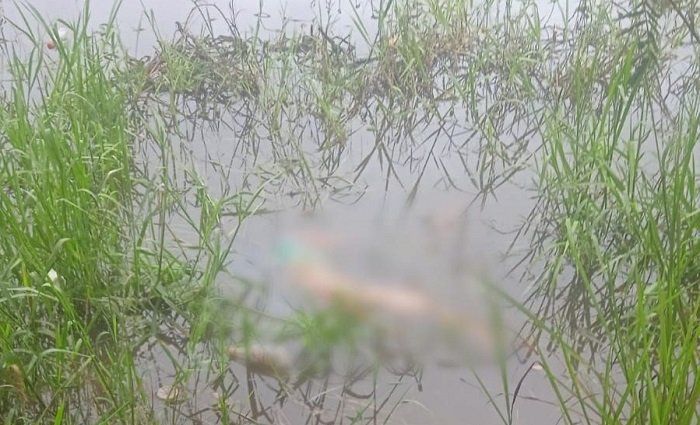 Sempat Diajak Jalan-Jalan, Remaja 14 Tahun di Kutai Timur Dibunuh