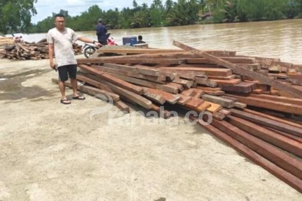 Bongkar Praktik Illegal Logging, Ratusan Batang Ulin Disita di Pelabuhan Paser