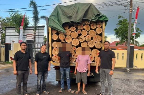 Dua Kasus Illegal Logging Terbongkar di Paser, Empat Pelaku Ditangkap