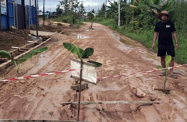 Jalan Rusak Dua Tahun, Warga Sangatta Tanam Pohon Pisang di Tengah Jalan