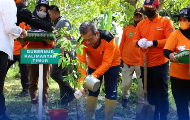 770 Bibit Pohon Ditanam untuk Mitigasi Bencana