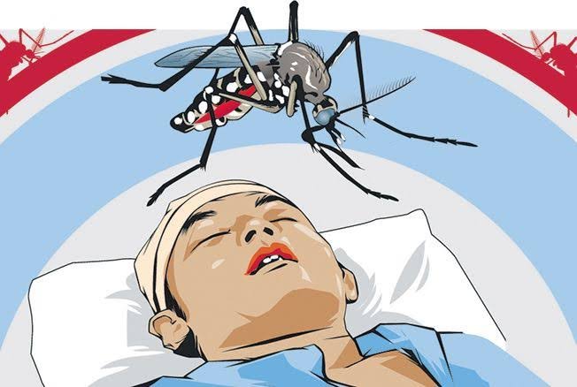 39 Warga Kaltim Meninggal karena Demam Berdarah Dengue selama 2022