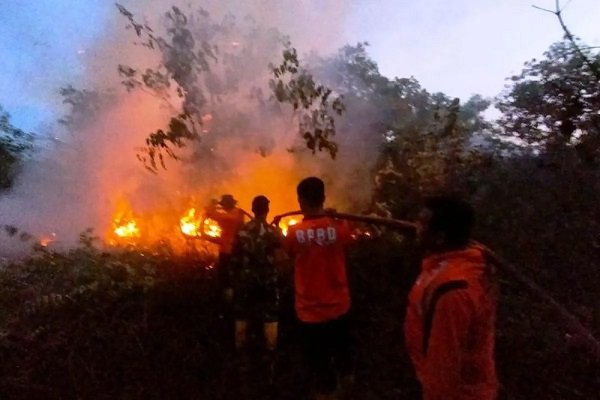 Sigap Padamkan Karhutla Seluas 3,4 Hektare di Penajam