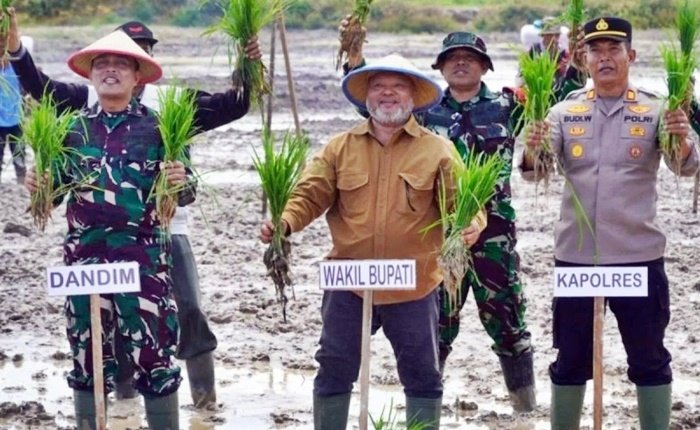 Berau Tambah 100 Hektare Sawah, Ini Dampaknya bagi Petani