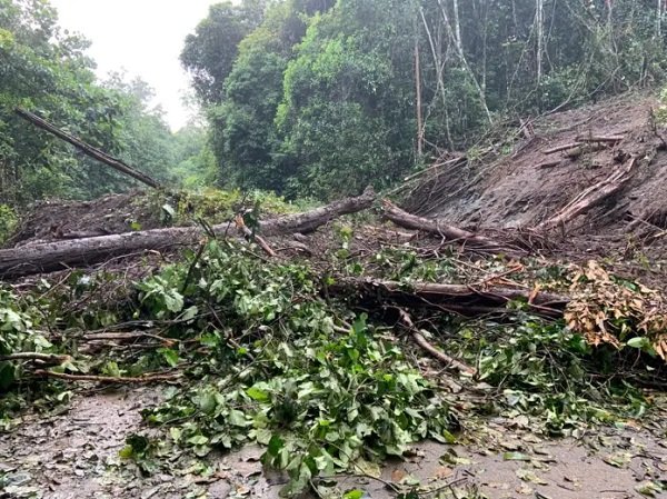 Tertimbun Longsor, Jalan Poros Kutim-Berau Lumpuh