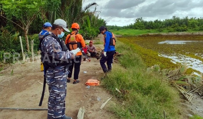 Warga Muara Jawa Pesisir Kaltim Diterkam Buaya saat Bekerja di Tambak