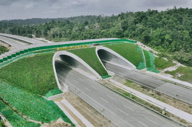 Rp15 Triliun Mengucur di Kaltim, Tol IKN Sedot Anggaran Terbesar