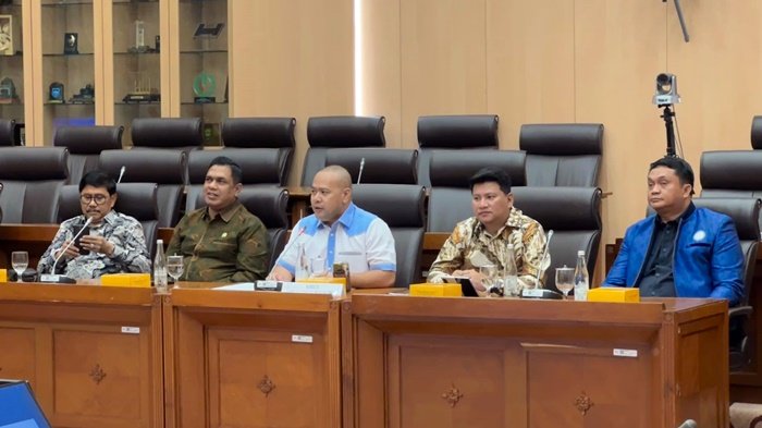 Sambangi DPR RI, Akhmed Reza Beber 5 Masalah Krusial Pertambangan di Kaltim