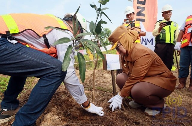 Bontang Tanam 10 Ribu Mangrove, Wali Kota Ingatkan Tambang Harus Selamatkan Lingkungan