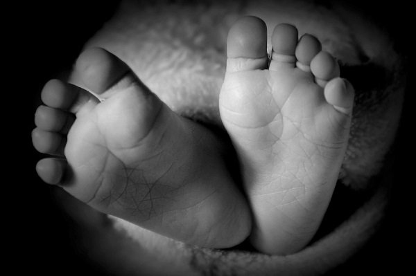 Janda Muda di Balikpapan Tega Habisi Bayi yang Baru Dilahirkan, Disembunyikan dalam Panci