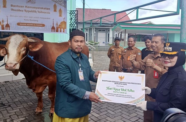 Prabowo Salurkan 1.098 Sapi Kurban Termasuk ke Kaltim, Anggarannya Rp100 Miliar dari APBN