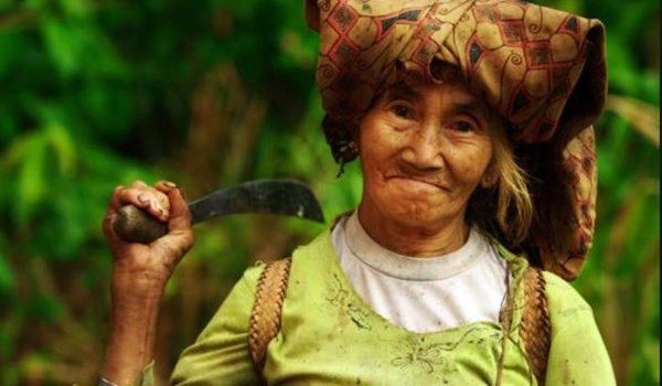 Mului, Pemburu-Peramu yang Tergerus Zaman di Hutan Kalimantan Timur