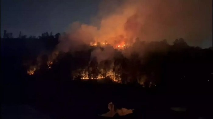 Diduga Sengaja Dibakar, Lima Hektare Hutan dan Lahan di Balikpapan Membara
