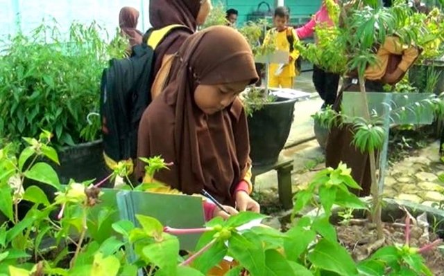 Warga Bontang Diajak Mandiri, Optimalkan Kesehatan dengan Taman Obat Keluarga