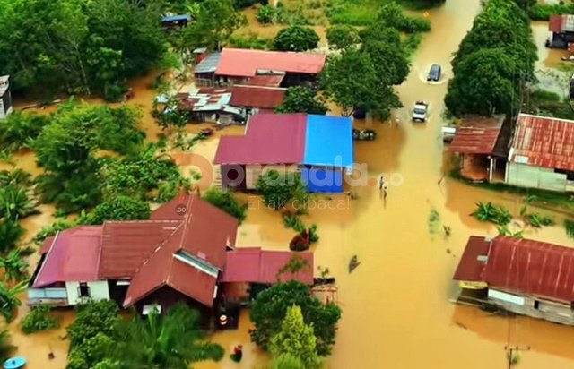 Banjir Rendam Bantaran Sungai Kutim, Warga Muara Wahau Bertahan di Tengah Genangan