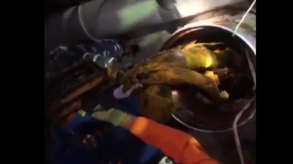 Tiga Pekerja Pembersihan Palka Kapal Pengangkut CPO Tewas, Diduga Hirup Gas Beracun
