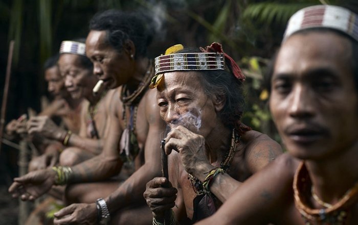 Suku Punan; Suku Dayak Pedalaman Penjaga Hutan Rimba