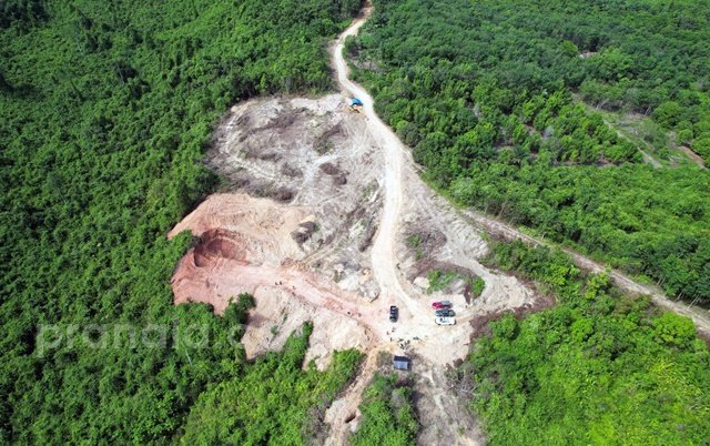 Tambang Ilegal Kian Masif, Taman Nasional Kutai Terancam