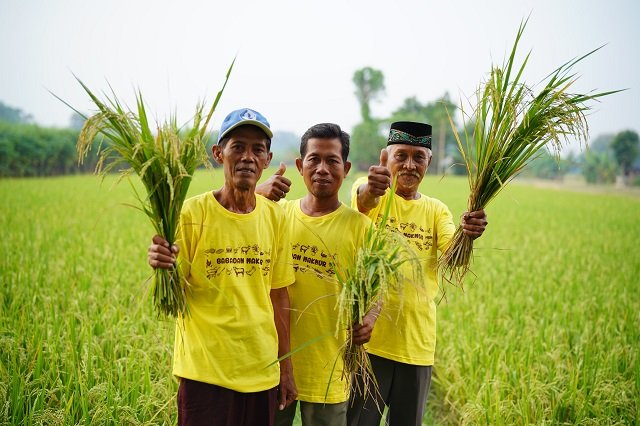 Pupuk Kaltim Raih Penghargaan Internasional Berkat Inovasi Pertanian Berkelanjutan
