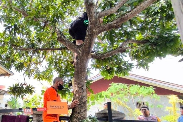 Misteri Kematian 'Maling Mangga' di Bontang; Jatuh Sendiri, Warga Bawa ke Rumah Sakit